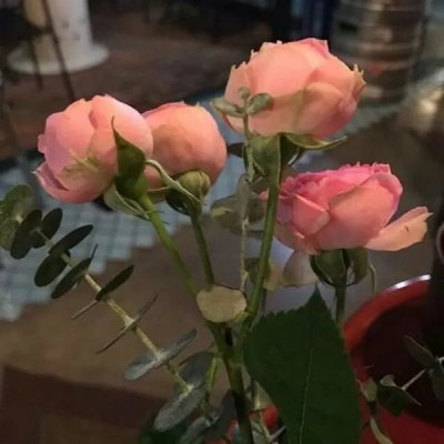 甜美小清新 背景图。