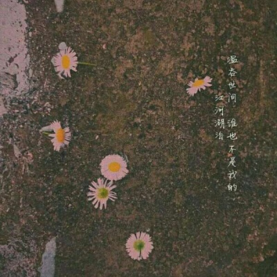 仙气十足的背景图，超ins