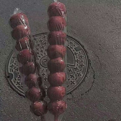 沈言  背景图  你眼里璨若星河 可偏偏没有我