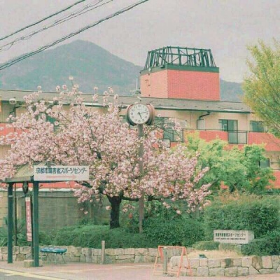 川/樱花?