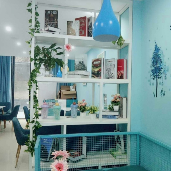 林杦/ins蓝色系背景图