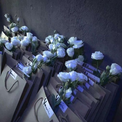 小清新静物唯美背景图   别慌 月亮也正在大海某处迷茫