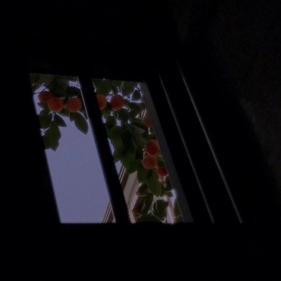 柚子  唯美意境风夜晚风景/这世间 始终你好