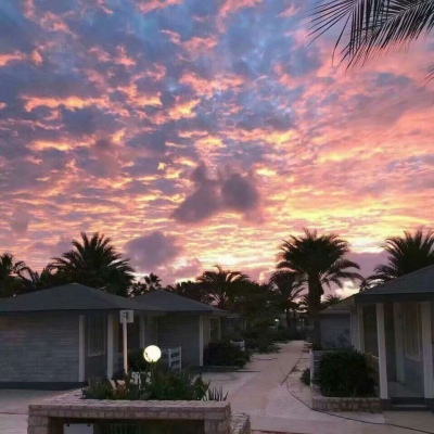 唯美仙气背景图 风景静物 卿为朝朝暮暮 又望而却步