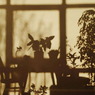 莫稚♡ 南墙下全是痴情人的尸体.