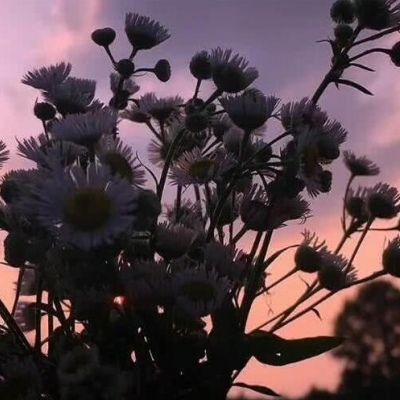 唯美意境神仙头像  你打算什么时候去见那个你超级超级想见的人啊