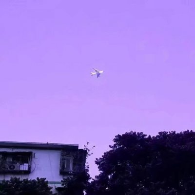 紫色背景图——要爱自己❤️