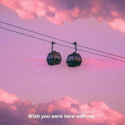 恬恬/2025超火紫色系唯美欧美壁纸/紫色真是个浪漫的颜色♡