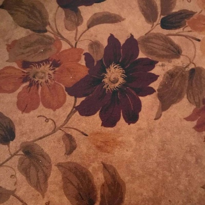 ins背景图 望你喜