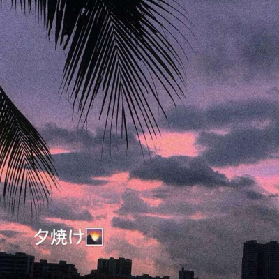 苏橙/唯美风景静物壁纸/愿喜