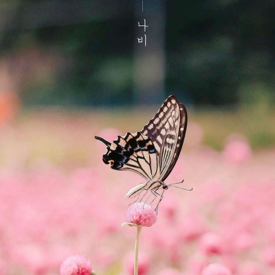 萌萌哒小清新风景头像壁纸