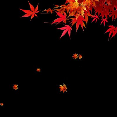 触漫絮材第七波