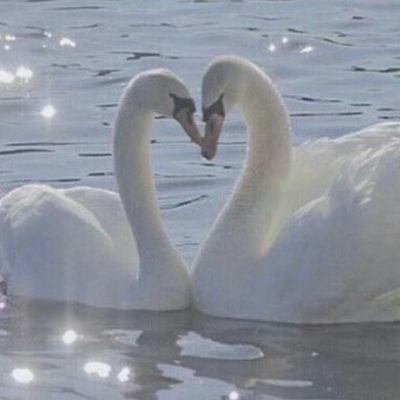 季清 (白色治愈系背景图)