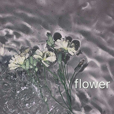 千鹤/小花特辑/偏欧美范/带我功成名就，许你花前月下