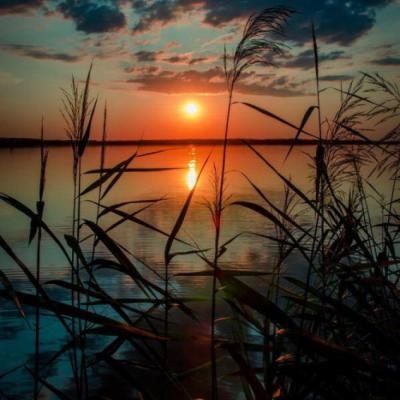 <风景静物头像>漫天星光沿途散播 长路尽出有灯火