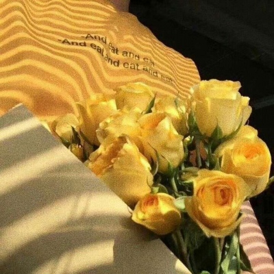 黄色系背景美图（唯美 静物 花 颜色）月牙儿