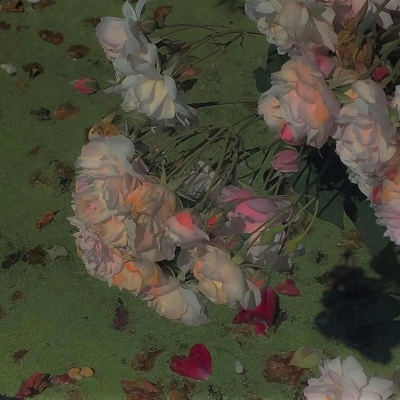 ins超火风景静物背景图|十月