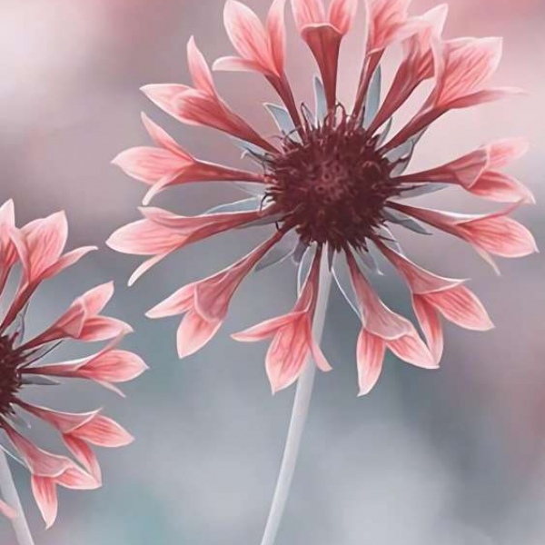 扼杀/为ta多做一点事，给与ta温暖