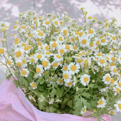 干净，快乐，保持可爱，就这样生活在自己小圈子里叭！！?