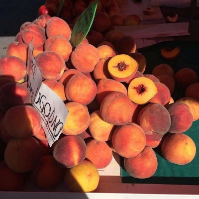 简约ins风背景图/可爱/怀旧  乔嬄