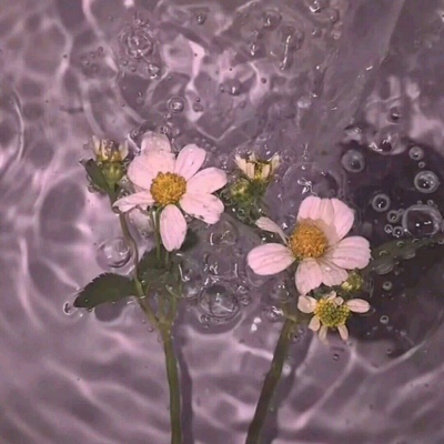 允言/唯美治愈系风景头像   乏味千万