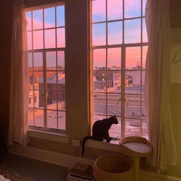 唯美黄昏后背景图