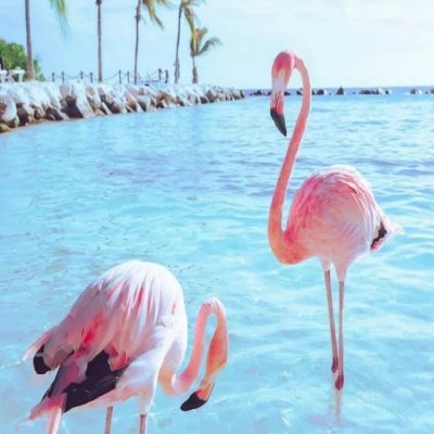 南曦：唯美意境背景图