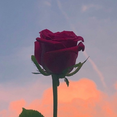 这个夏天，没有惊喜，没有温度，没有关系