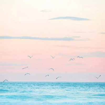 江阮妤:海边风景背景图