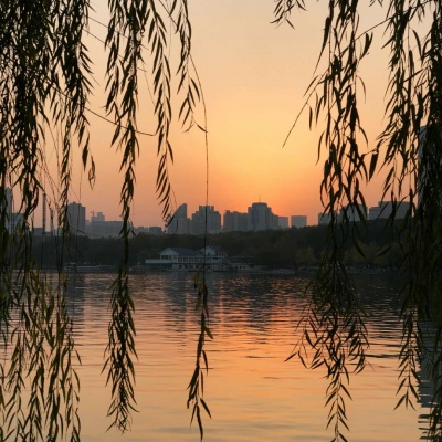 今日份背景图#ins