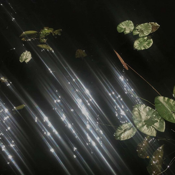 苏濯:干净绿色系风景图 做个少女 心中藏诗 脸上抹奶油.