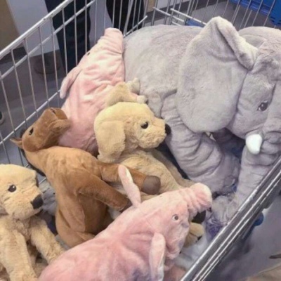 允言/可爱玩偶背景    晚安，别让黑夜让你变得更加寂寞