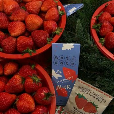 【苏七】草莓控背景图.