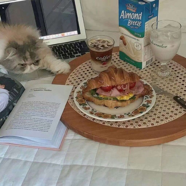 林琪染背景图拥有你的每天都是美好的一天