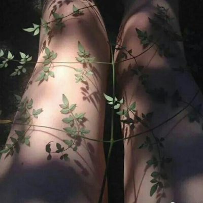 ins绿色背景图/绿色很干净。