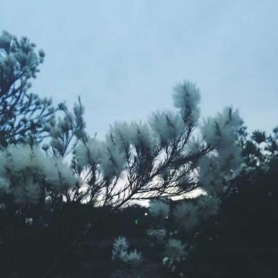 今日的背景图去除霉运