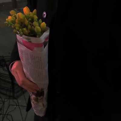 唯美意境图片(碎花/风景/静物)