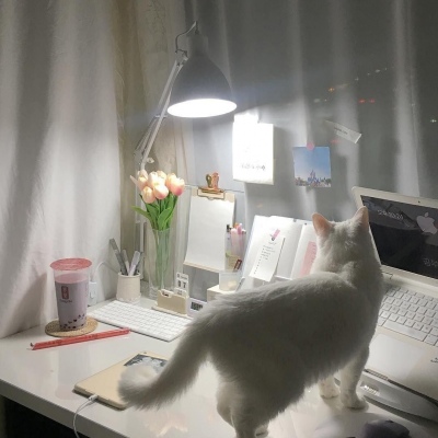 苏槿桉/小清新文艺背景图/愿岁月静好 愿你好好照顾自己