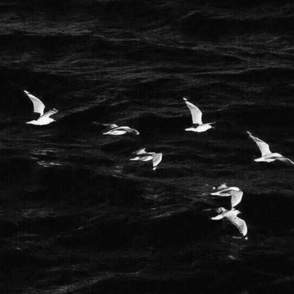 我突然就很羡慕以前那个被我喜欢的你✨