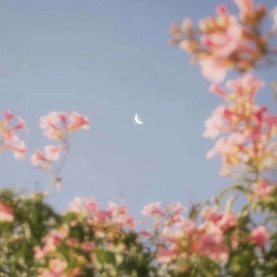 星空  一想到你和我还在同一片天空下我就有了前进的动力