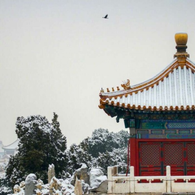 白灏宇:风景静物头像/故宫/雪景/绿瓦红墙/向来缘浅，奈何情深。