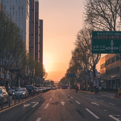 千鹤/唯美风景/在人间贩卖黄昏