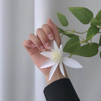 | 一些舒服的杂图 |