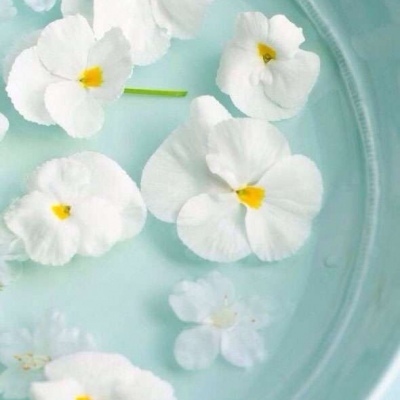 柠七：意境浅蓝