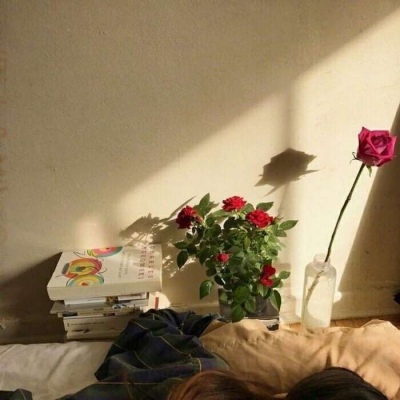 我贪恋的人间烟火，不偏不倚，正好是你