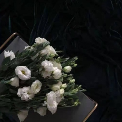 限量版·微丧·背景图：我用了一倍的奢望换回了两倍的失望