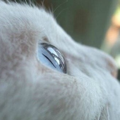 你的眼眸，是浩瀚的星辰。