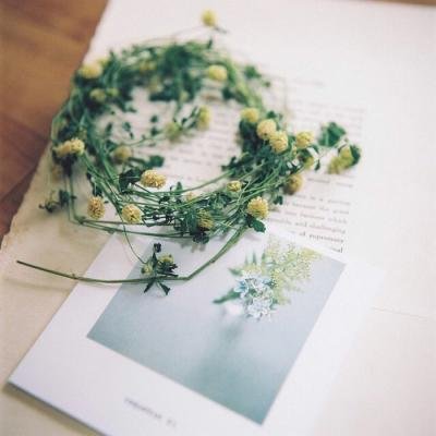 既能当壁纸又能当头像的图