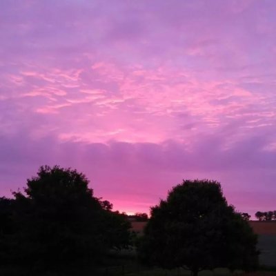 2025少女仙气满满的背景图✔️