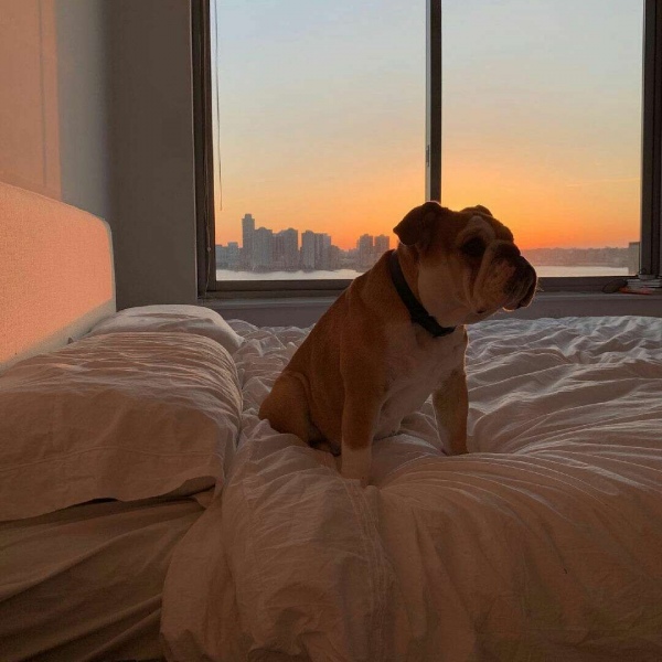 沈倦/悲伤和希望都是一缕光/部分图源 dt小王在干啥呢